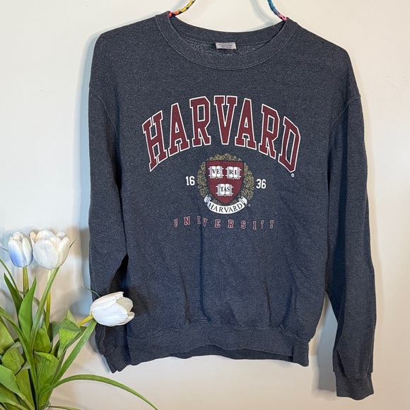 Jerzees Charcoal Harvard Crew Neck Sweatshirt - Picture 1 of 4